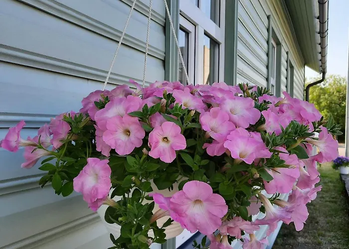 Marta Majutus Apartament